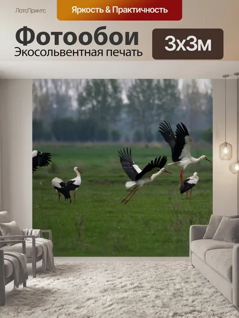 Фотообои Аист