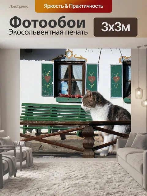 Фотообои Домашнее животное