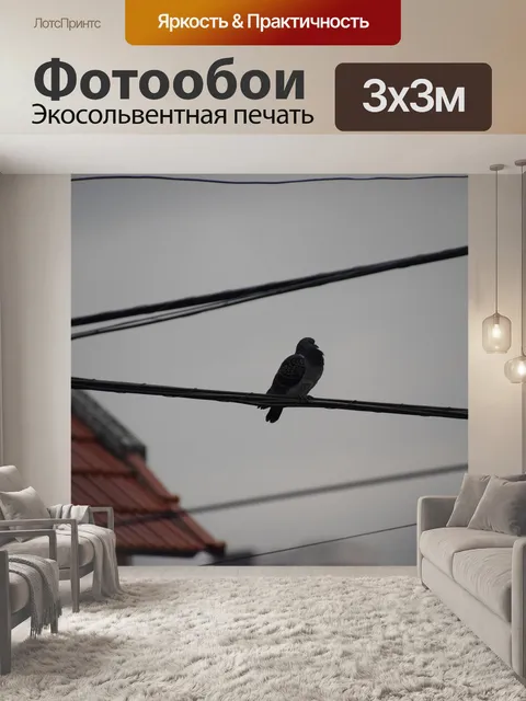 Фотообои Птицы