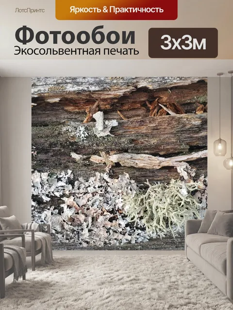 Фотообои Лишайник на заборе 2