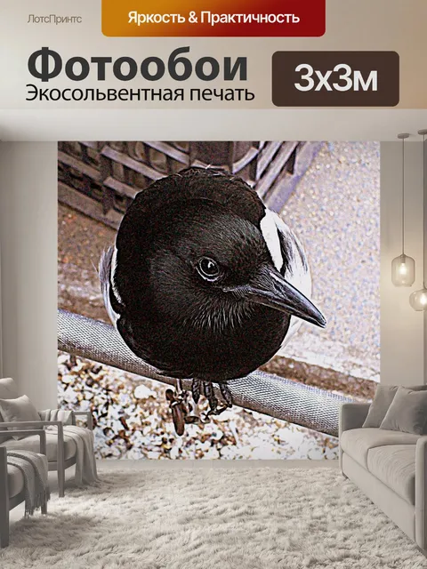 Фотообои Майна птиц