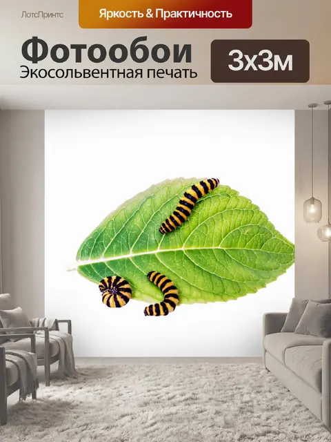 Фотообои Гусеницы