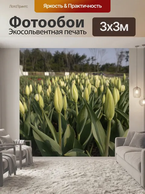 Фотообои Тюльпаны