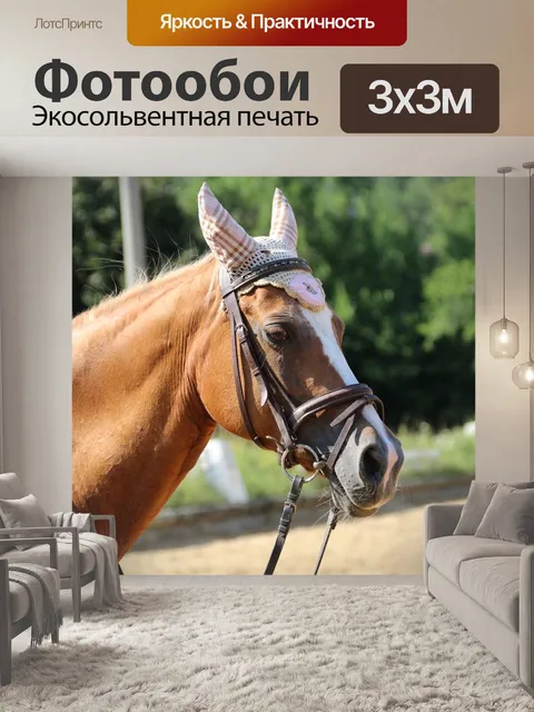 Фотообои Лошадь