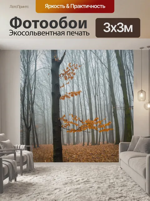 Фотообои Туманный лес