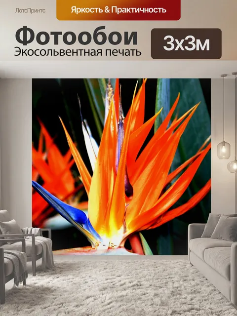 Фотообои яркие Стрелиции