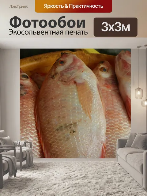 Фотообои Рыбы