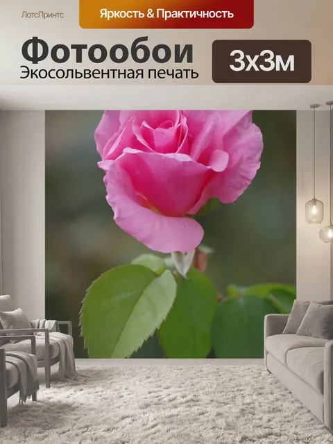 Фотообои Розы
