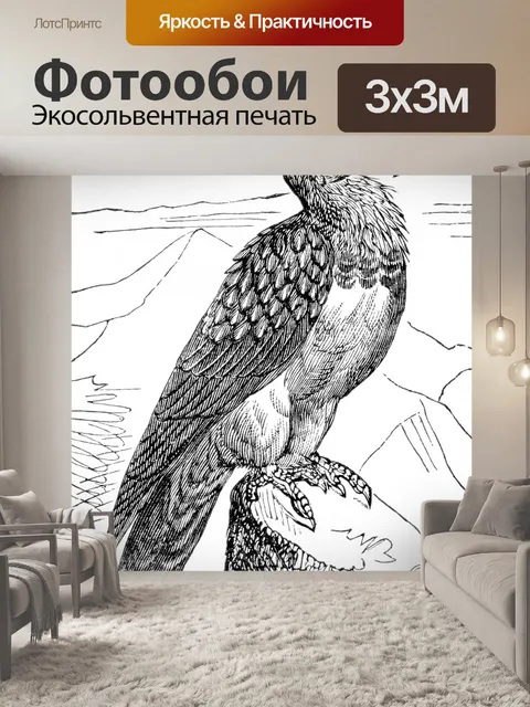 Фотообои Бородатый гриф