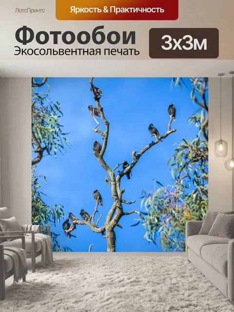 Фотообои Птицы