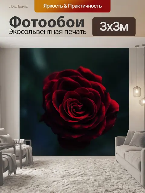 Фотообои Роза
