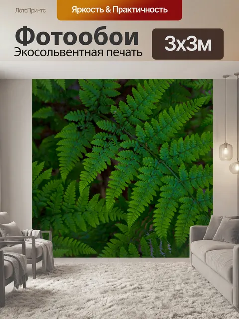 Фотообои папоротник
