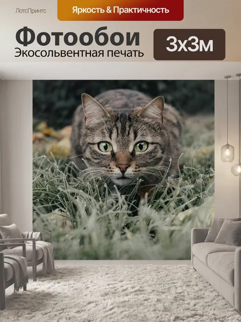 Фотообои Кошка