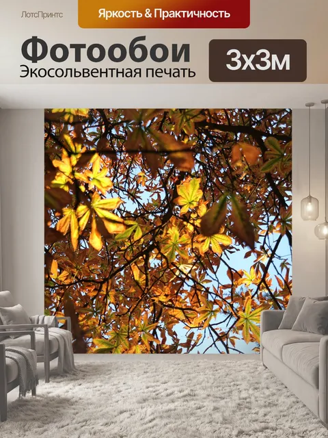 Фотообои Падение