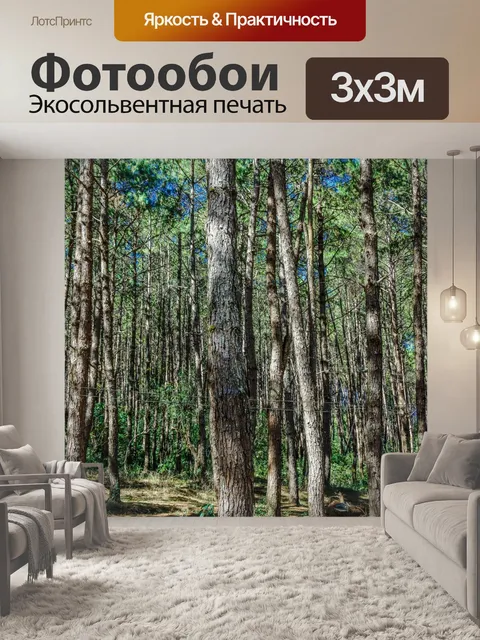 Фотообои Сосновый лес, Пан Унг, Мэй Хонг Сон