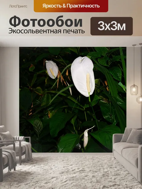 Фотообои Джунгли