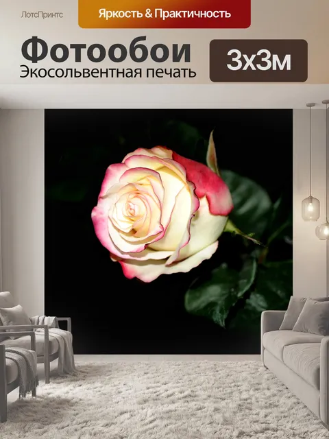 Фотообои Розы на темном фоне