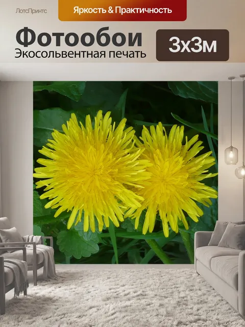 Фотообои Одуванчик