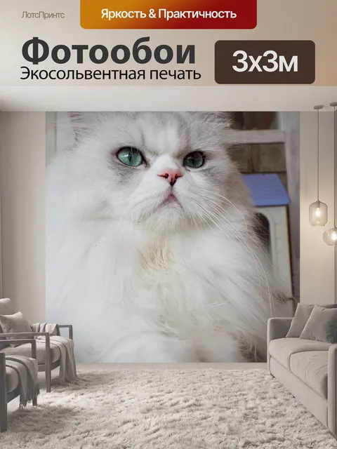 Фотообои Кошка