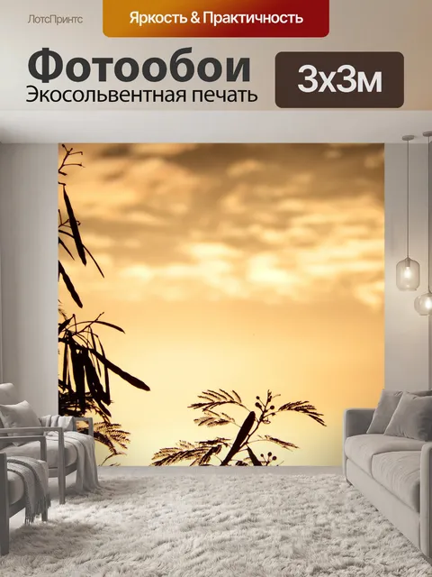 Фотообои Тропические деревья силуэт на закате