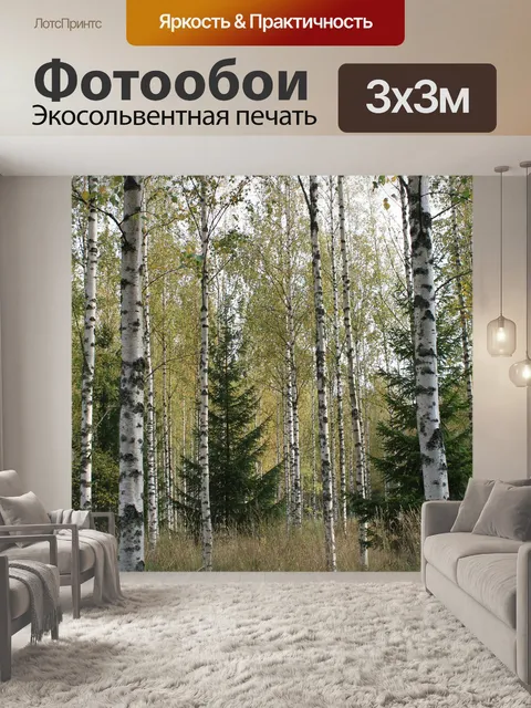 Фотообои Береза