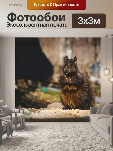 Фотообои Белка