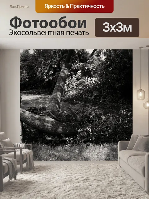 Фотообои Военно-морской флот якорь