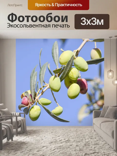 Фотообои Оливковый