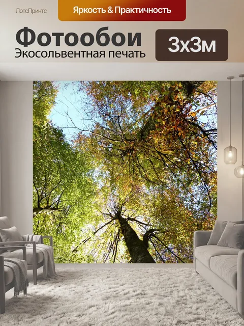 Фотообои Деревья