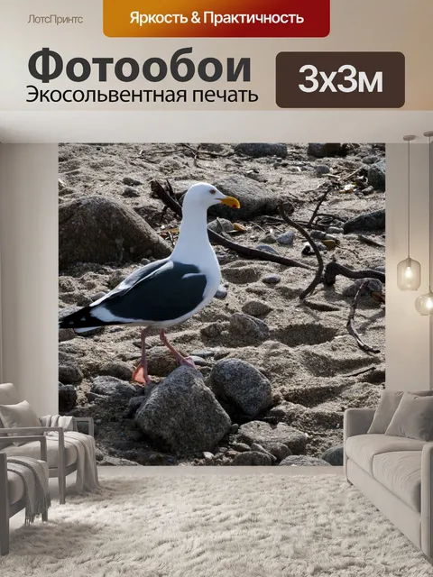 Фотообои Чайка прогулки по пляжу