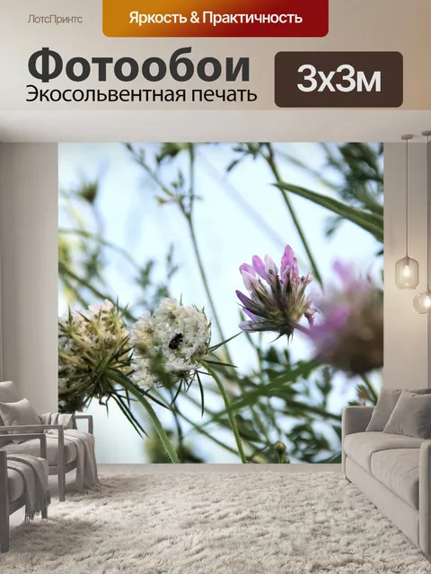 Фотообои Фиолетовые цветы клевера