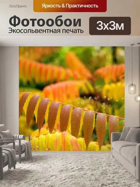 Фотообои Листья