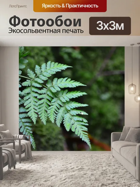 Фотообои Папоротник