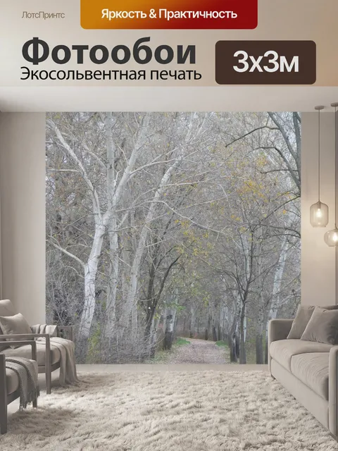 Фотообои Роща