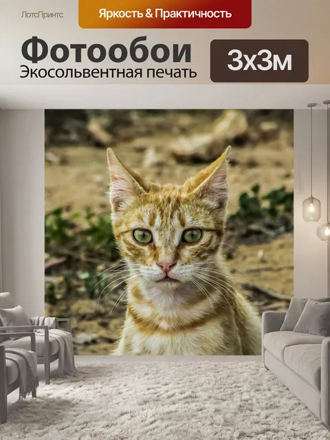 Фотообои Кошка