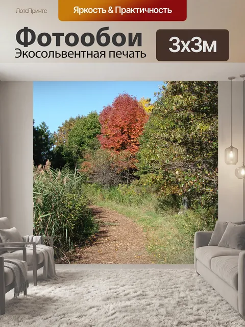 Фотообои Путь Много цветов