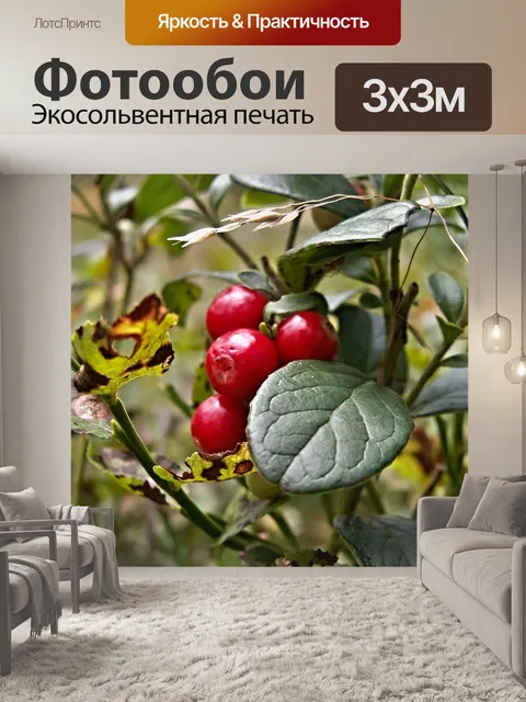 Фотообои Клюква