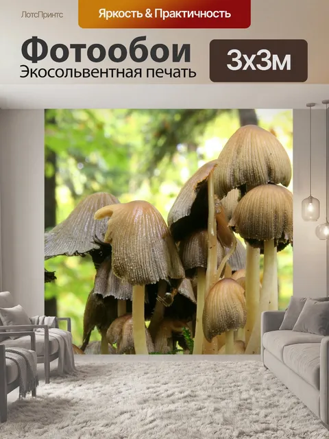 Фотообои Падение