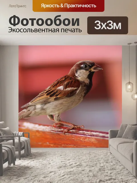 Фотообои Воробей