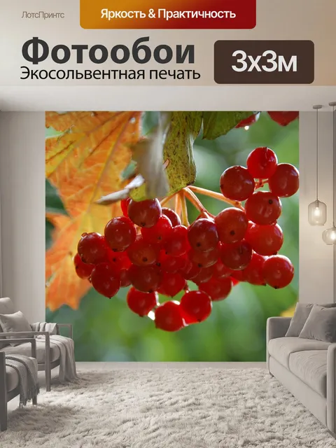Фотообои Природа