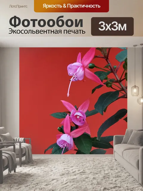 Фотообои Розовый