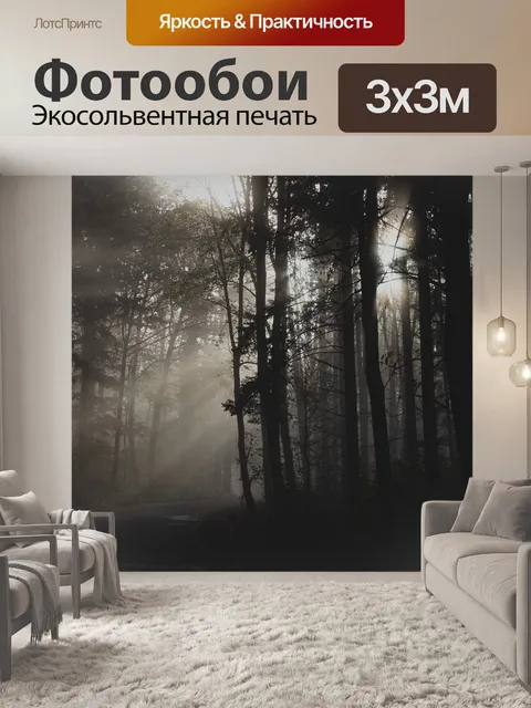 Фотообои Лес