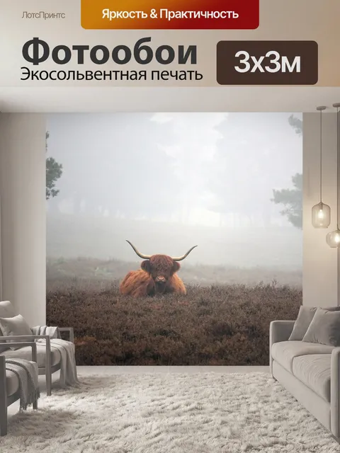 Фотообои Зима
