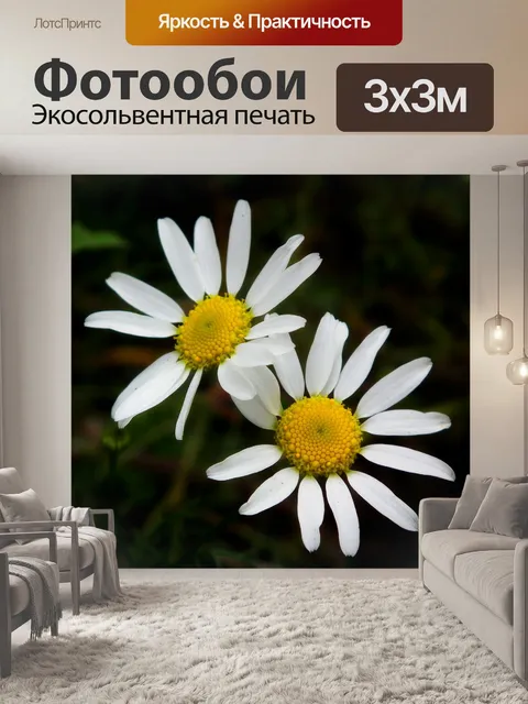 Фотообои Цветы