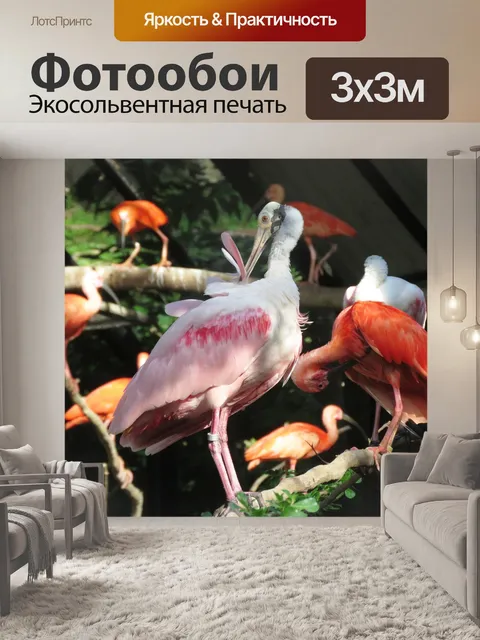 Фотообои Фламинго