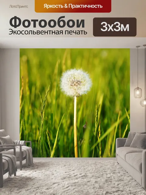 Фотообои Цветы