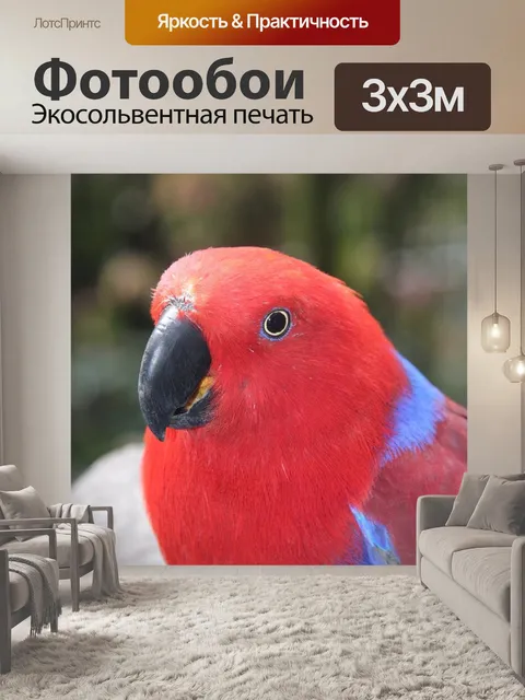 Фотообои Птица