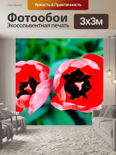 Фотообои Тюльпан