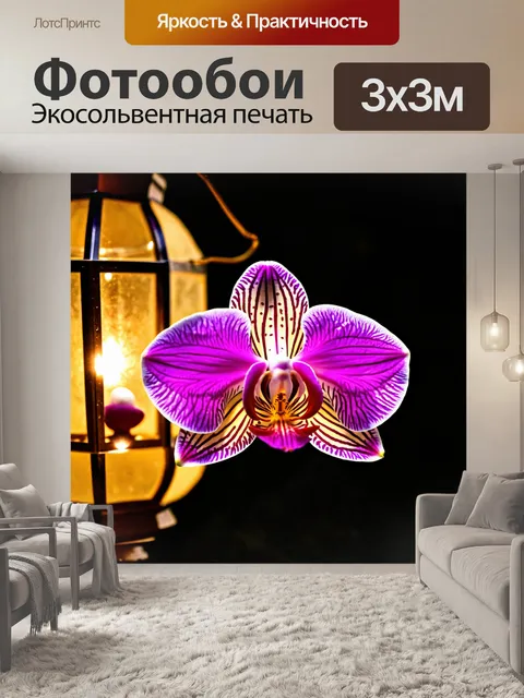 Фотообои орхидея на фонаре, блеск света через лепестки