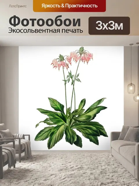 Фотообои Винтажный клипарт арт цветок
